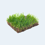 Lands & Plots for Rent