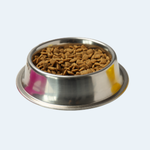 Pet Accessories