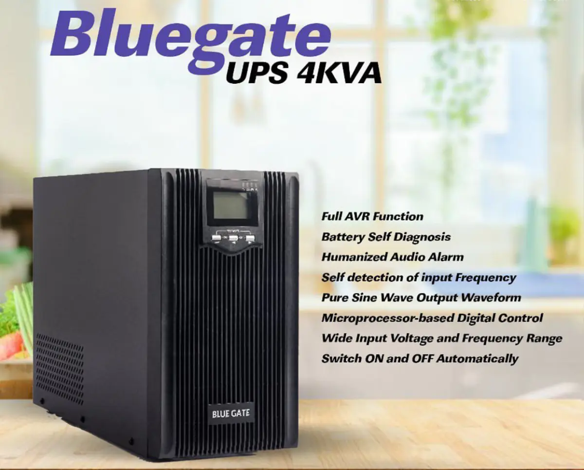 Blue Gate 4kVA Line Interactive UPS 4000VA - Image 2