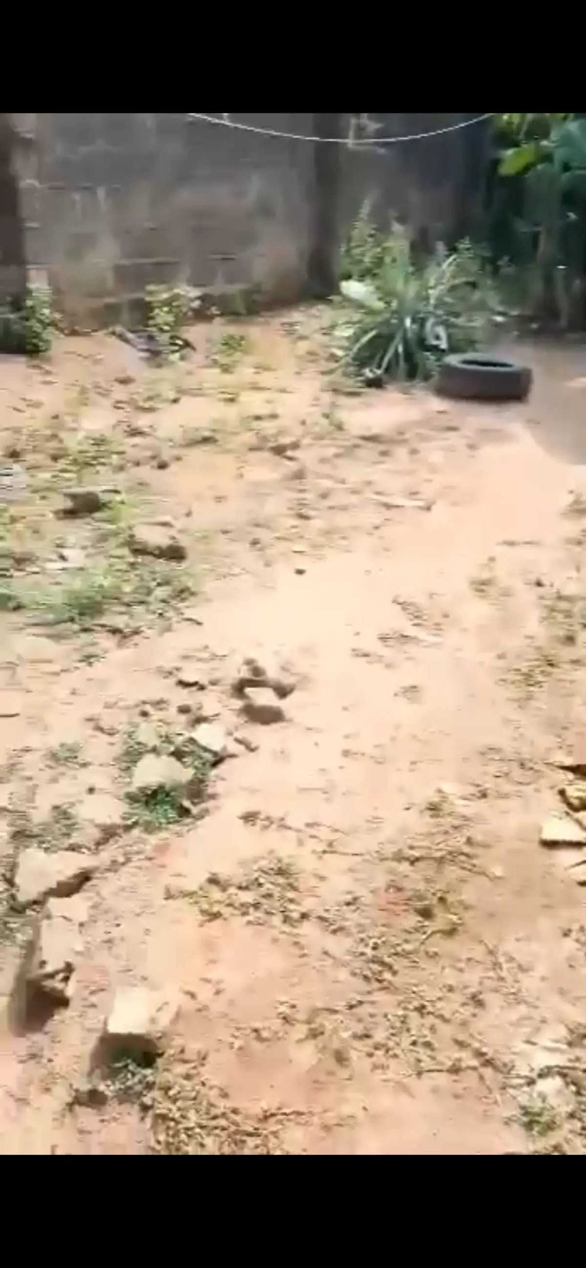 FOR SALES: Full Plot of land 675Sqmts with building at Meiran Lagos. N48m - Image 1