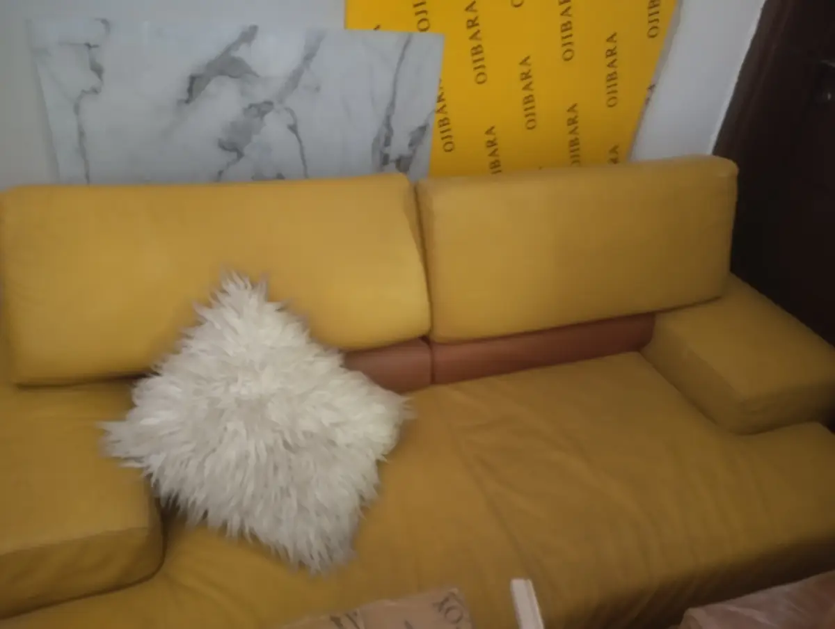 Foreign 2 seater Italian Leather Chair - Image 1