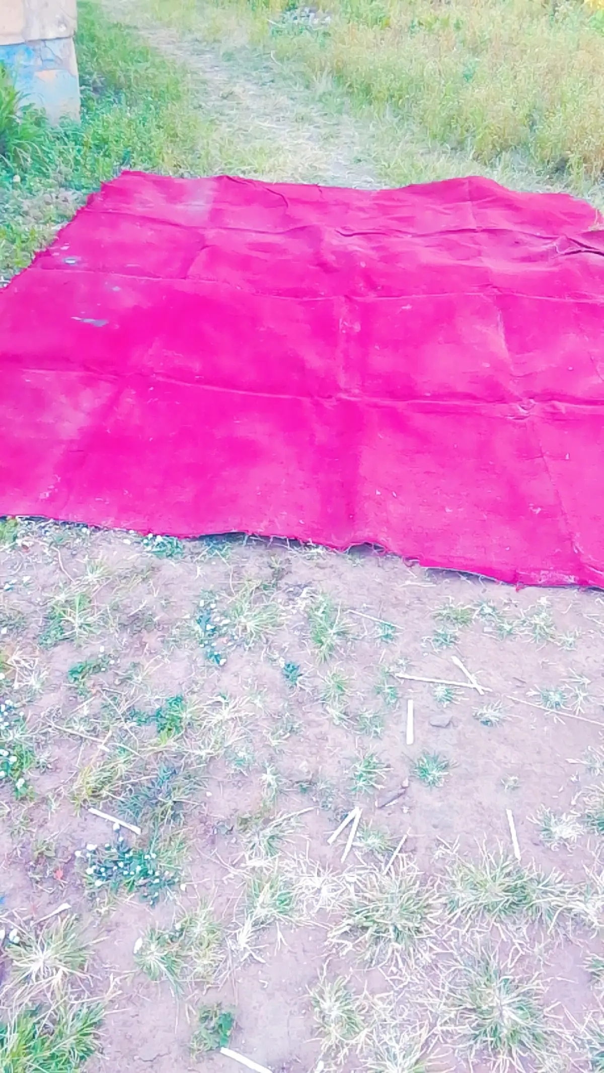 Used Good dark red Rug - Image 2