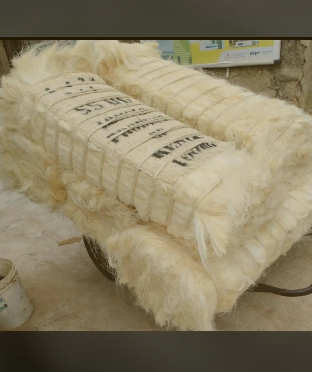 POP plasters, Screeding cement, Screeding paints; Glova, Acee and Deliight - Image 3