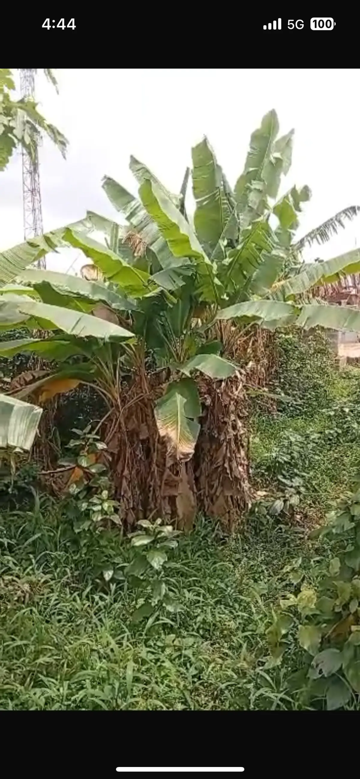 THREE PLOT OF LAND TOGETHER FACING A ROAD FOR SALES AT IPAJA LAGOS 90m net - Image 1