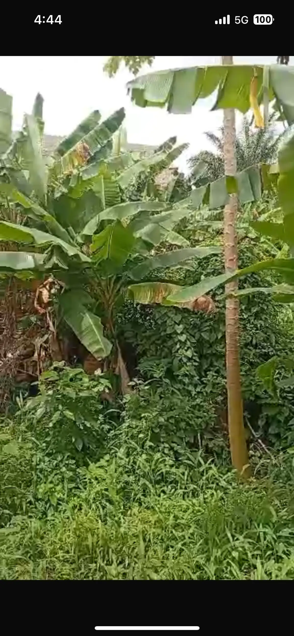 THREE PLOT OF LAND TOGETHER FACING A ROAD FOR SALES AT IPAJA LAGOS 90m net - Image 3