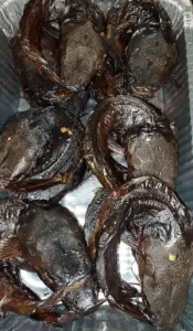 Smoke catfish for sale