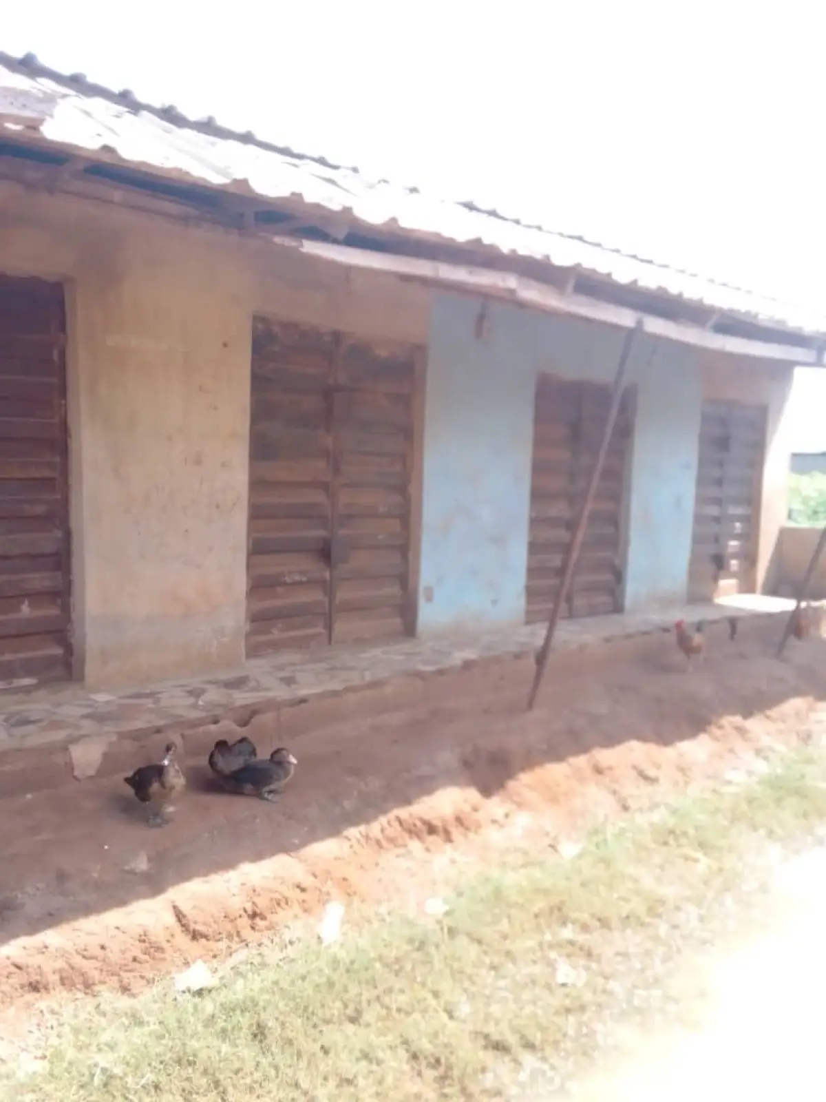 Urgent Sale Residential Building For Sale - Image 4