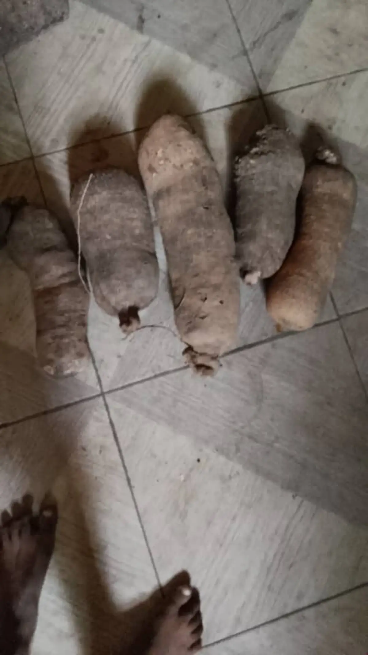 Farmer food stuff vegetables yams and potatoes - Image 2