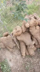 Farmer food stuff vegetables yams and potatoes