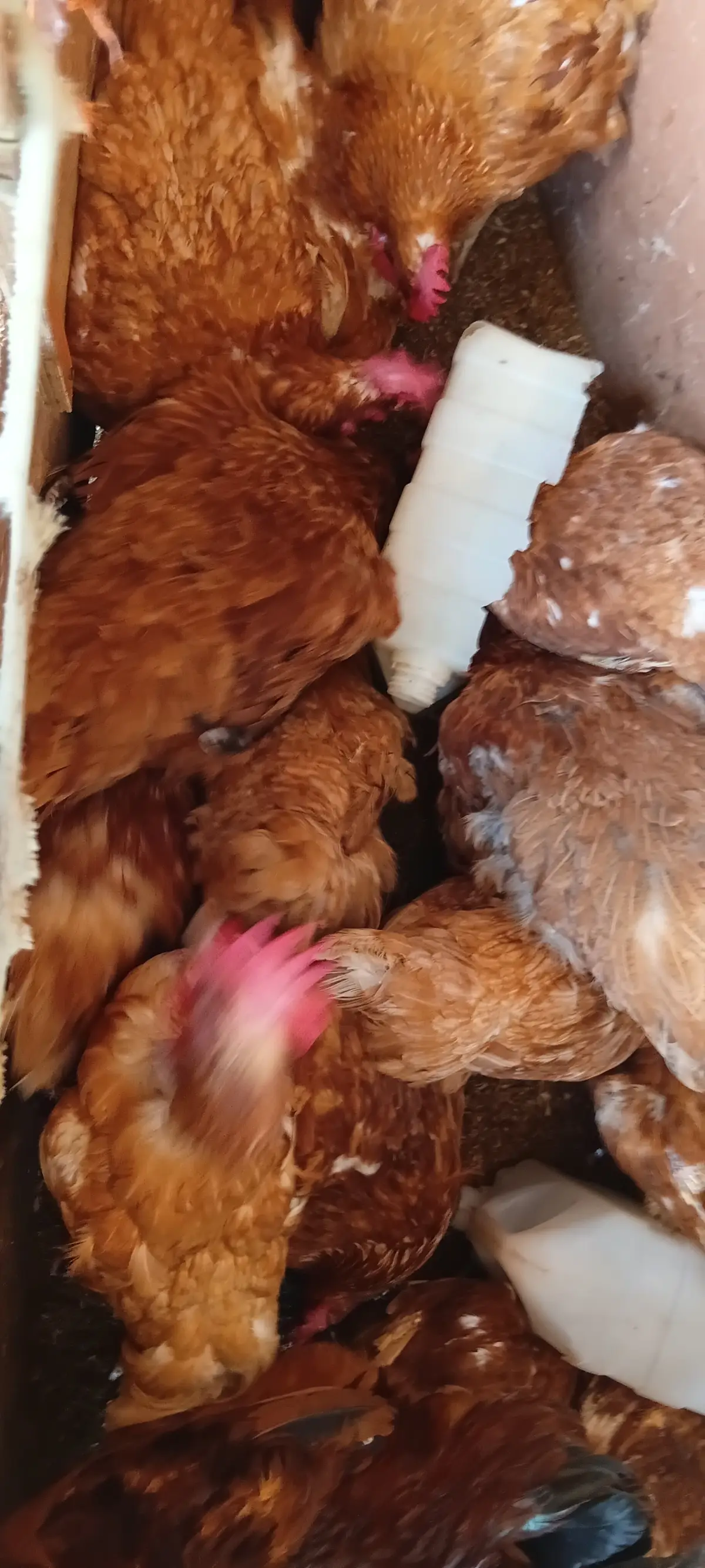 Old layers - Image 1