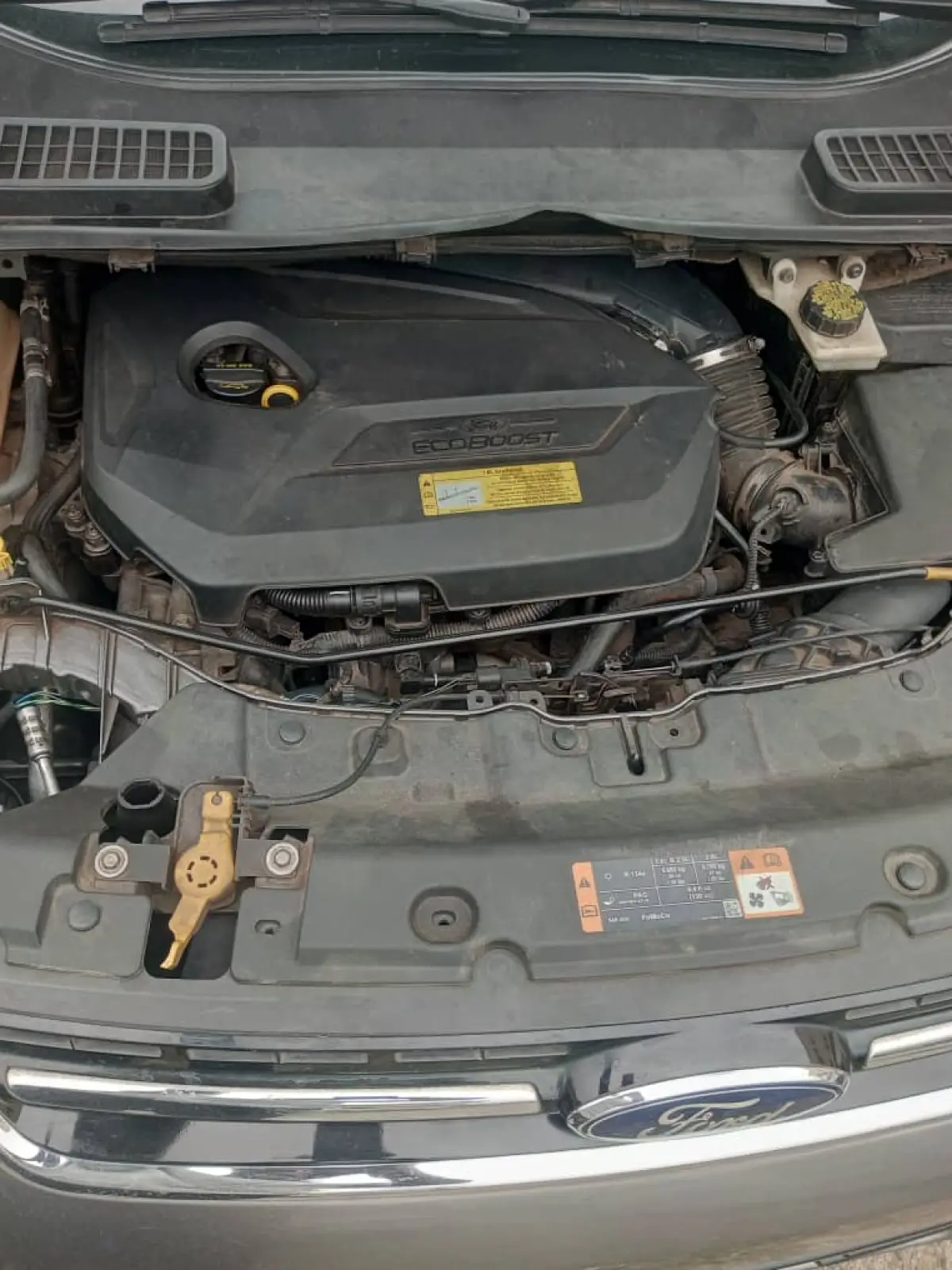 Brand new Ford Escape 2015 model. Buy and Drive - Image 12