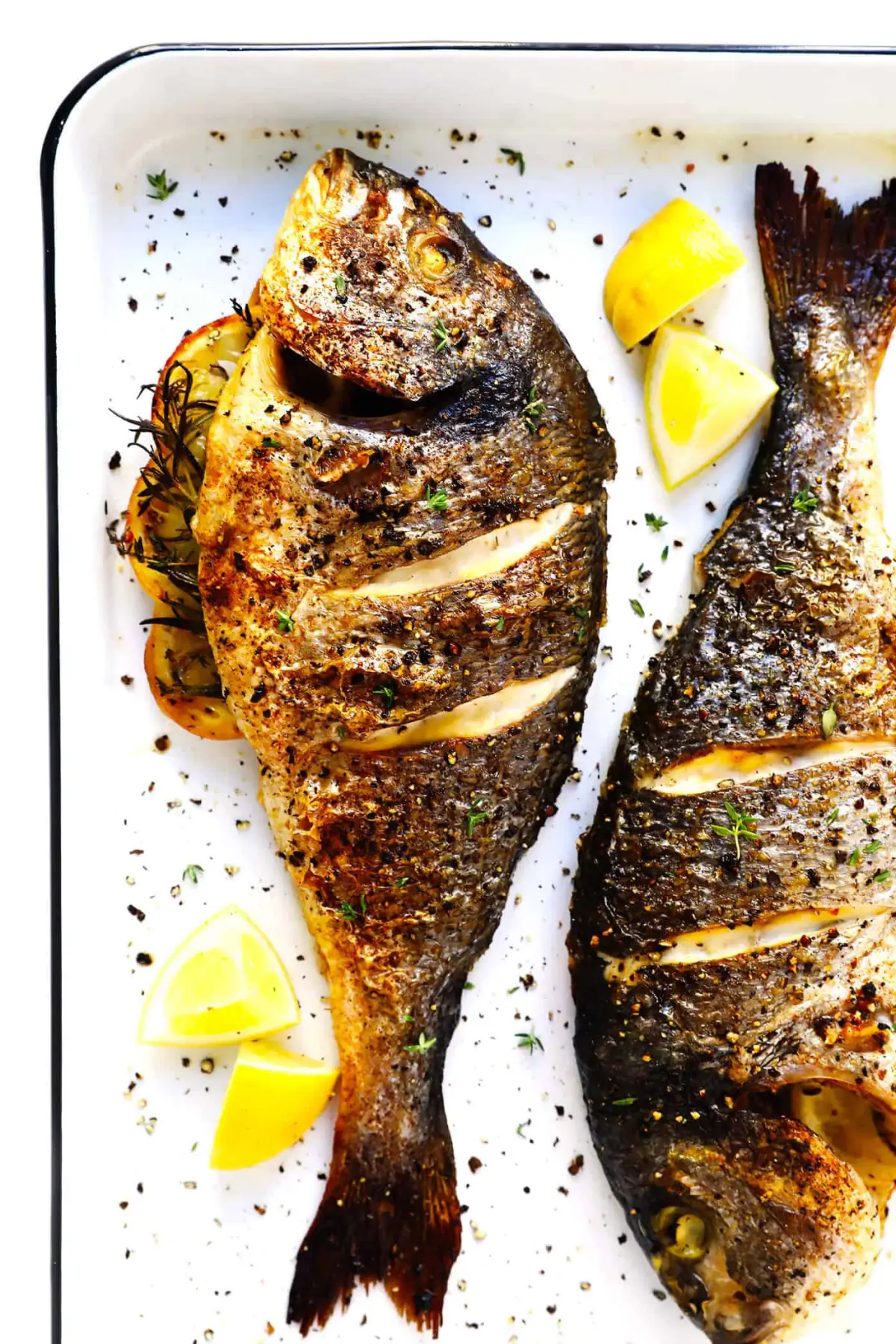 Buy your cooker fish today on a very good price - Image 1