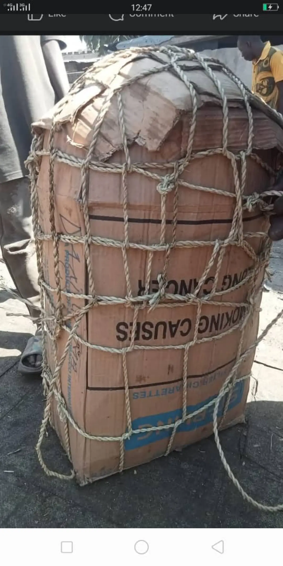 All seafood items - Image 6