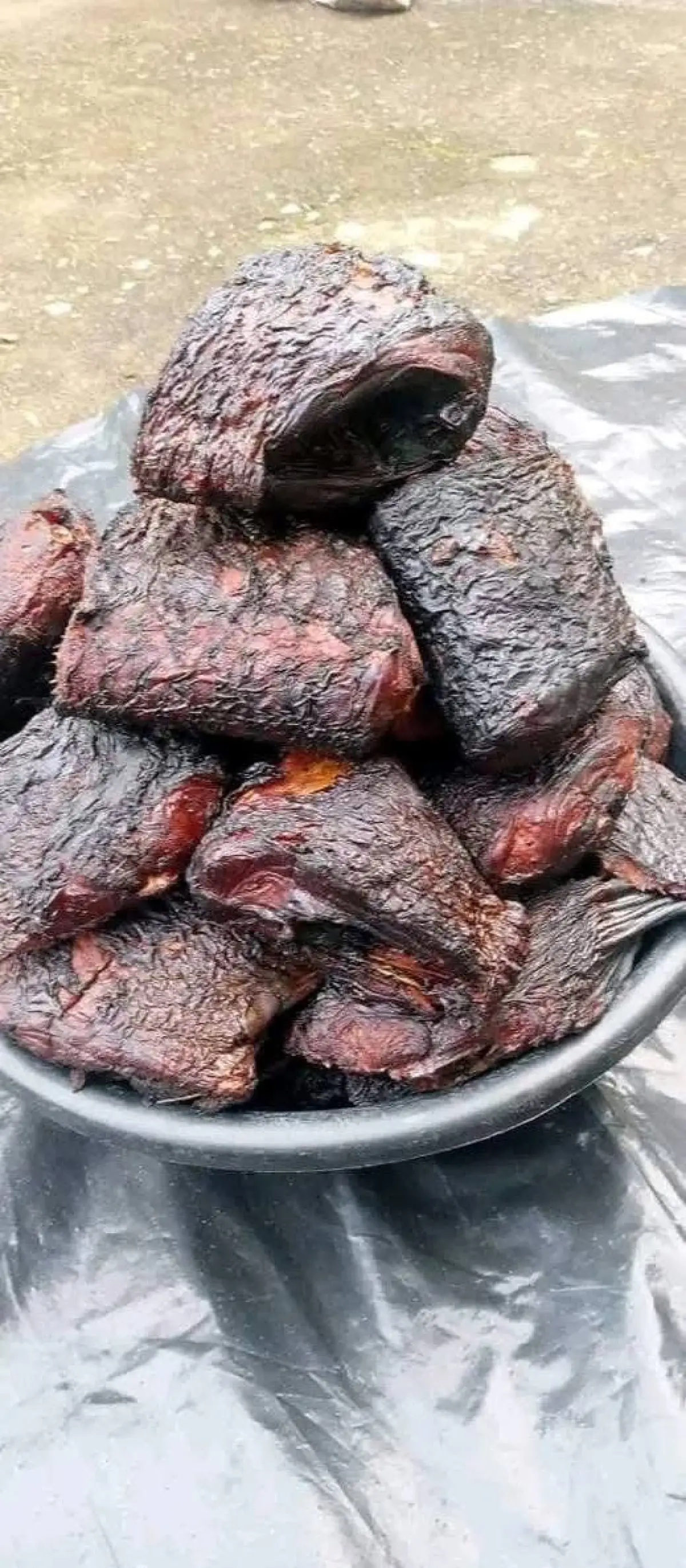 All seafood items - Image 8