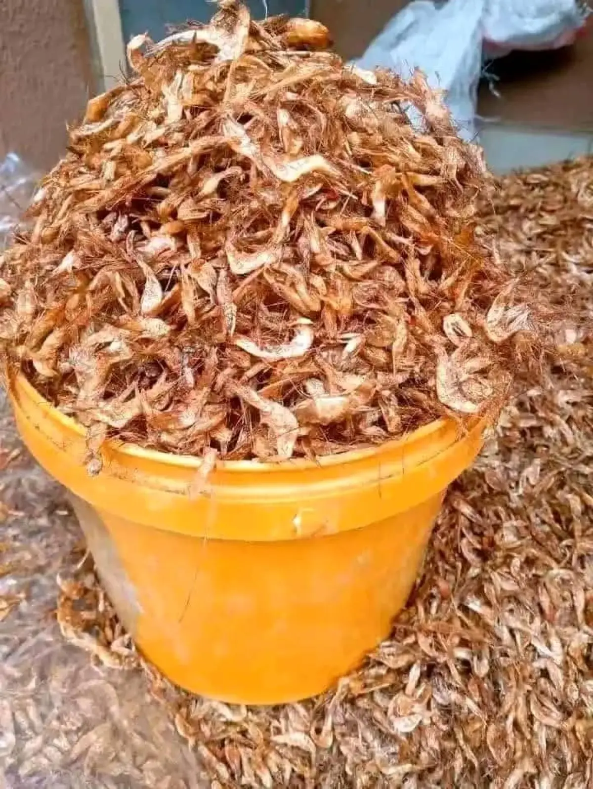 All seafood items - Image 9