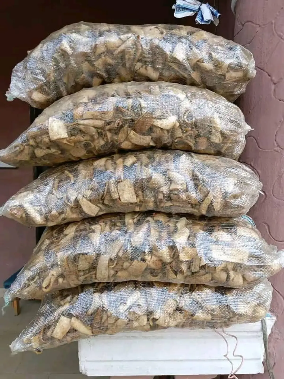 All seafood items - Image 10