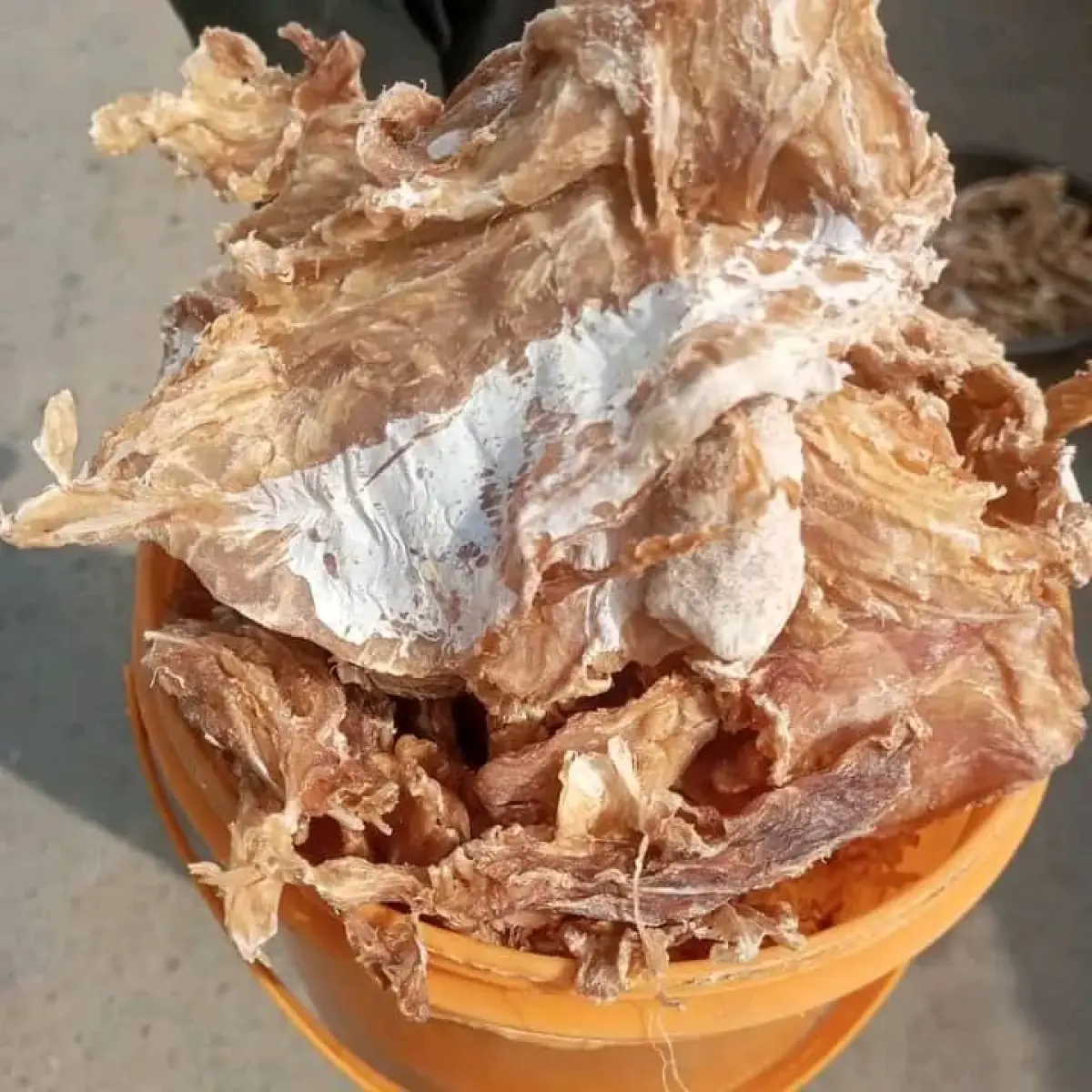 Very clean crayfish - Image 2