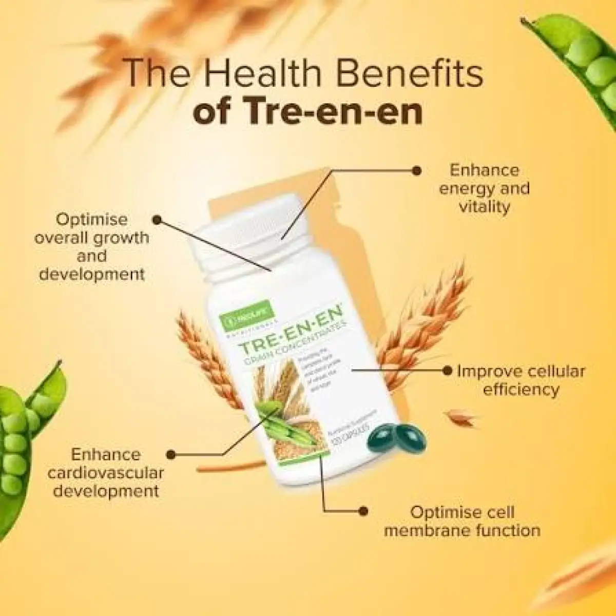 Cellular Nutrition The Truest Wealth - Image 4