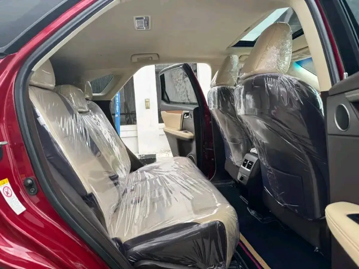 2019 Premium Edition Lexus RX 350 - Image 6