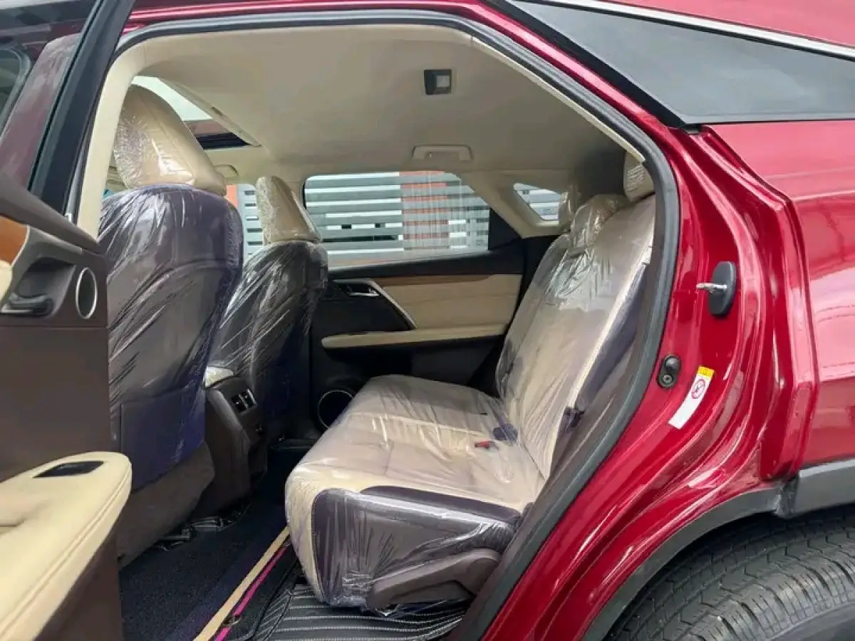 2019 Premium Edition Lexus RX 350 - Image 15