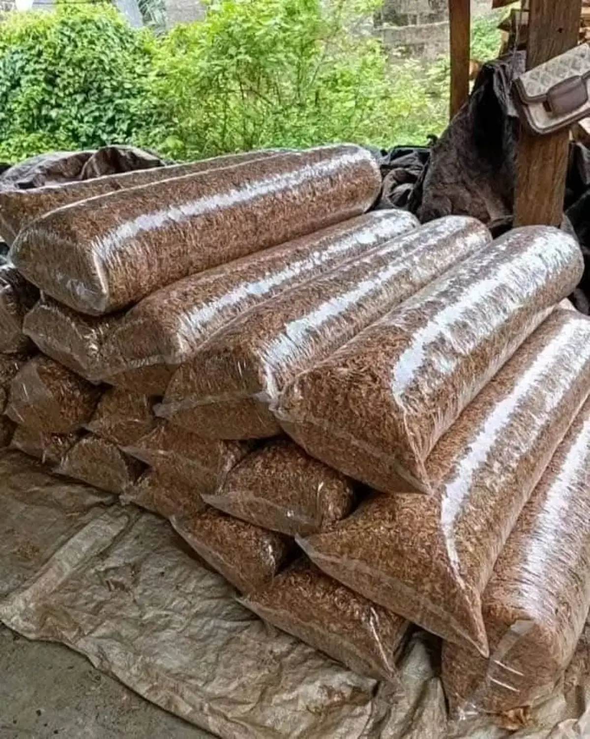 Clean Oron crayfish 11 painters - Image 1