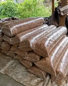 Clean Oron crayfish 11 painters