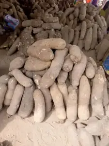 Set of yams 20 pieces