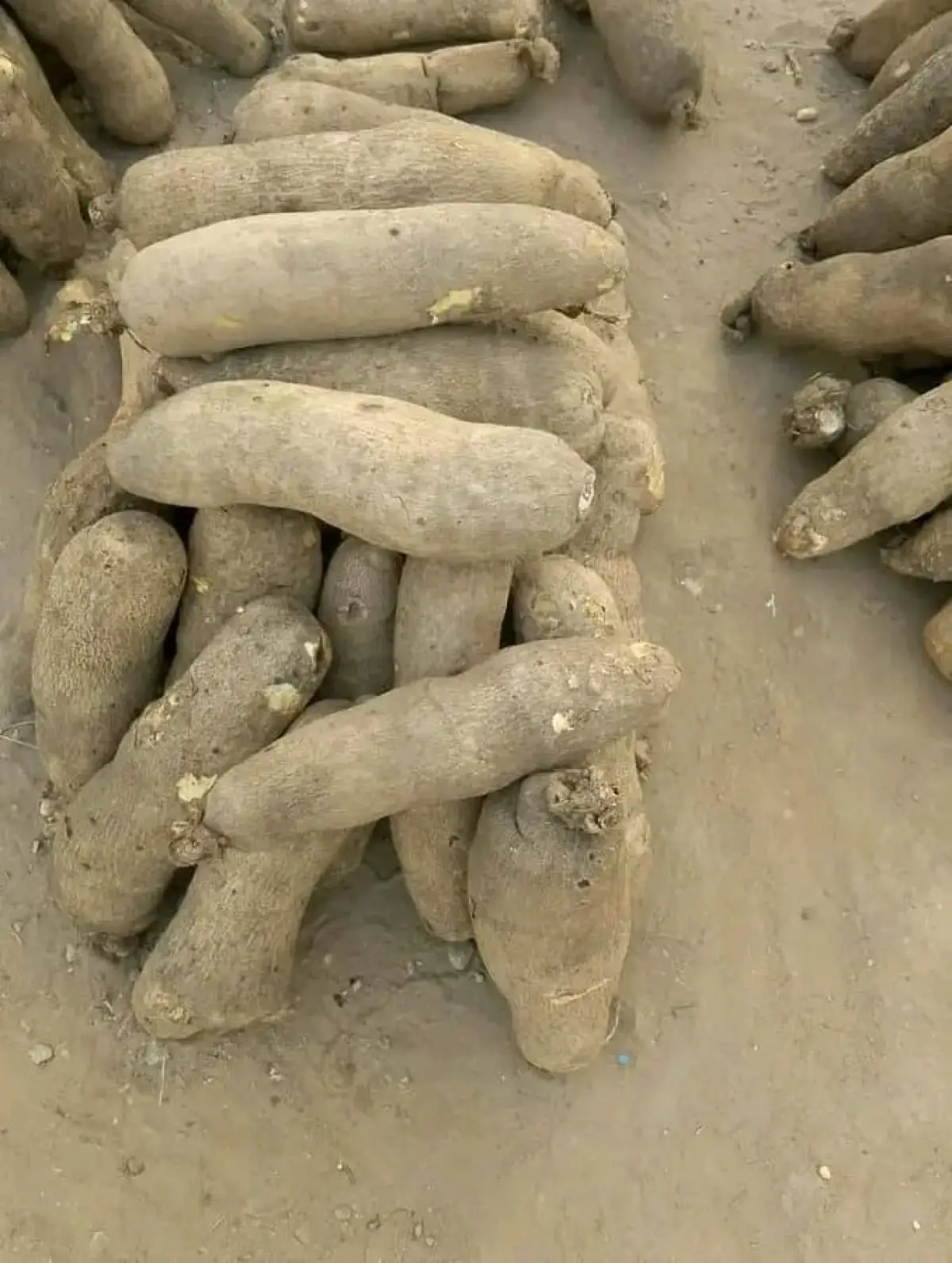 Set of yams 20 pieces - Image 2