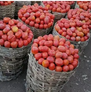 Correct basket of tomatoes
