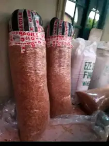 Direct Oron crayfish