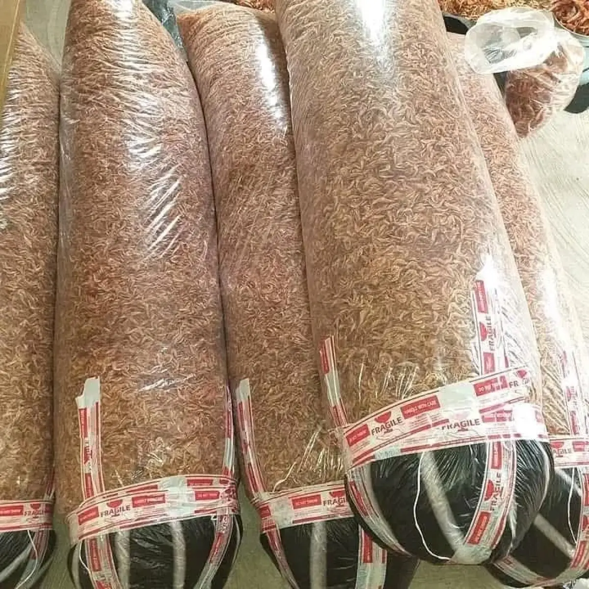 Direct Oron crayfish - Image 2