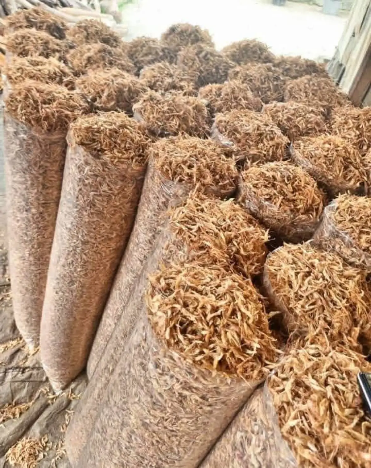 Direct Oron crayfish and seafoods - Image 2