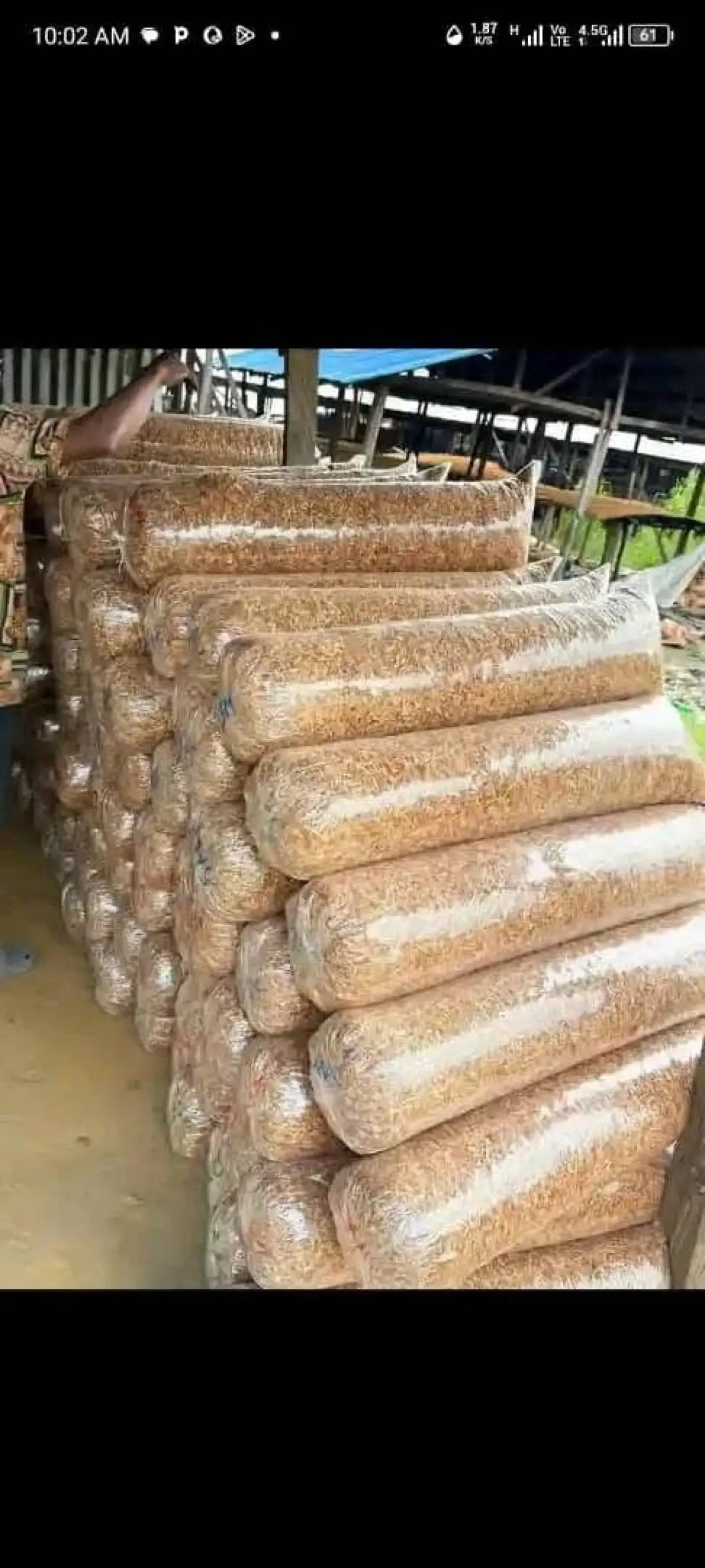 Direct Oron crayfish and seafoods - Image 3