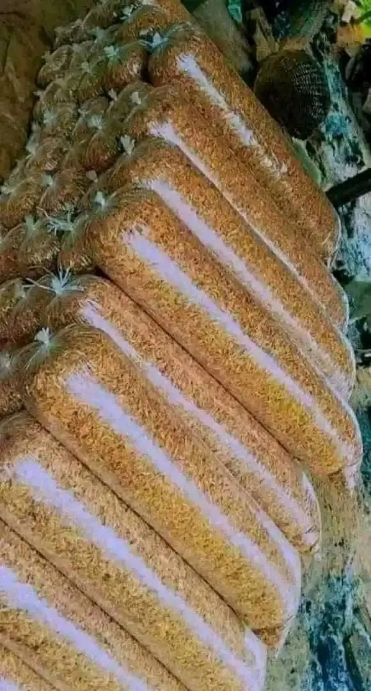 Direct Oron crayfish and seafood - Image 3