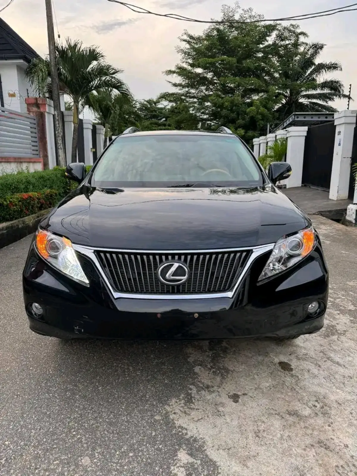 Lexus RX 350 2010 Blue - Image 1