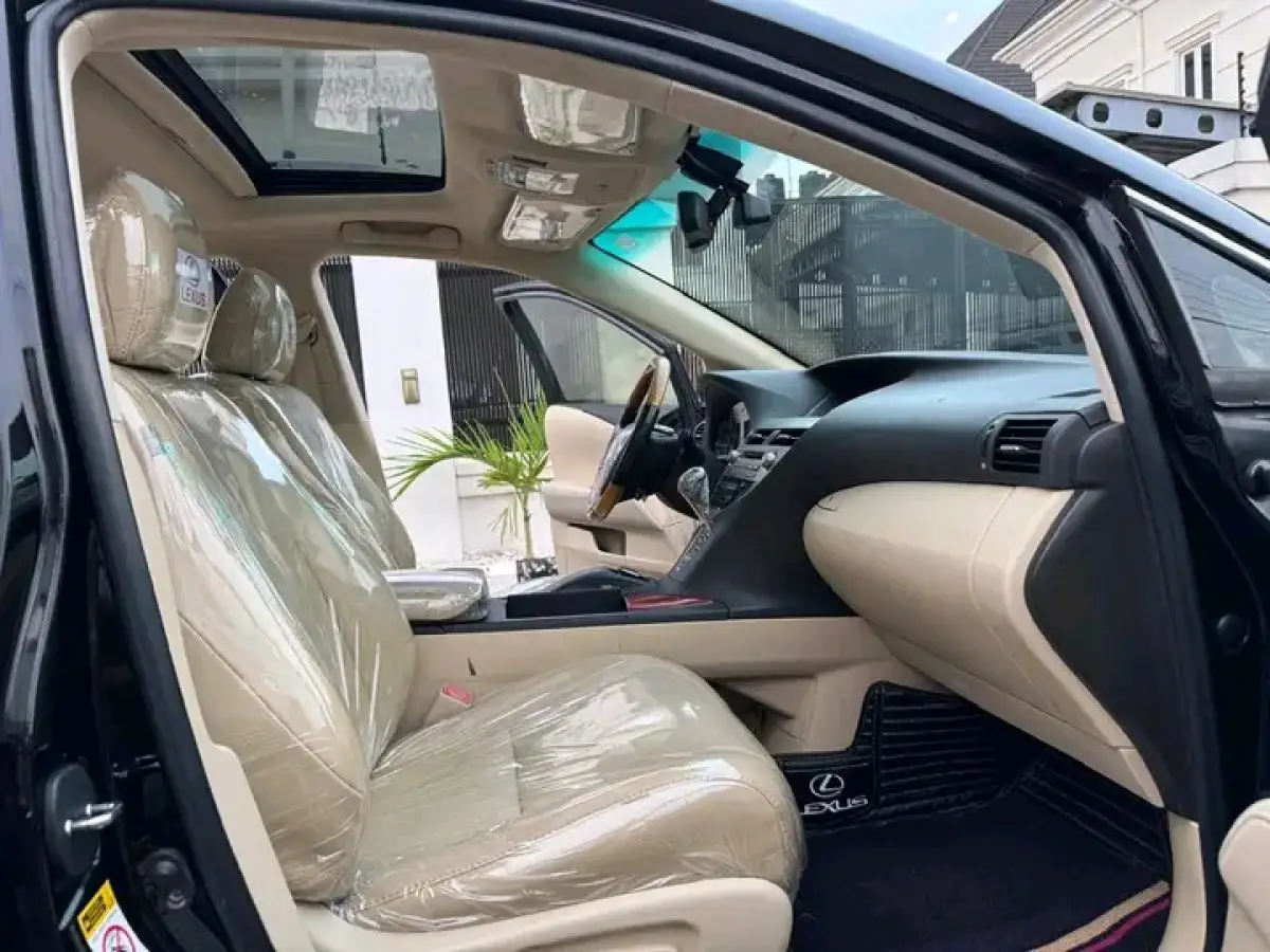 Lexus RX 350 2010 Blue - Image 6