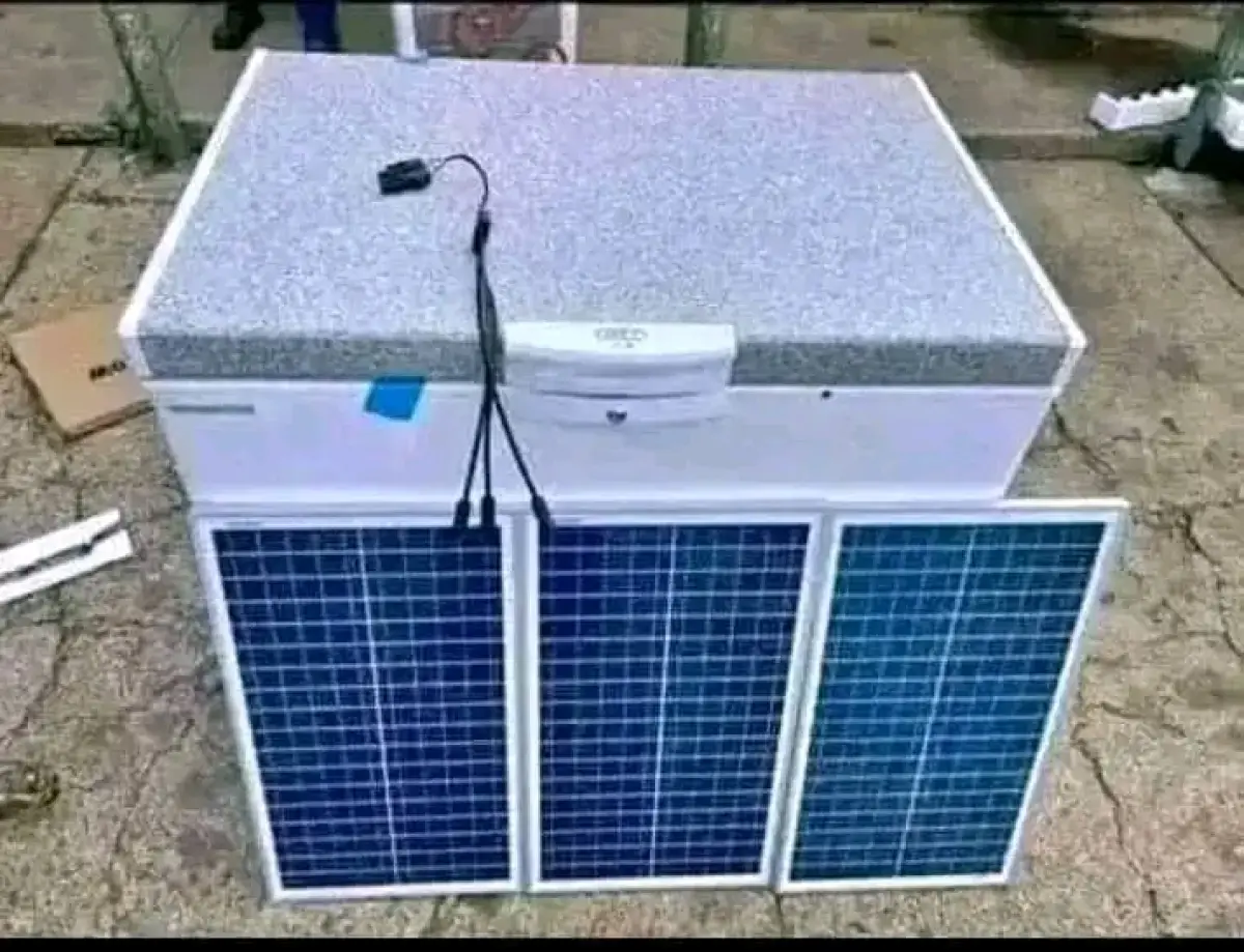 Sunking solar freezer one door Available - Image 4