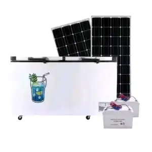 Brand New sunking solar freezer two doors Available