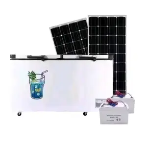 Brand New sunking solar freezer two doors Available