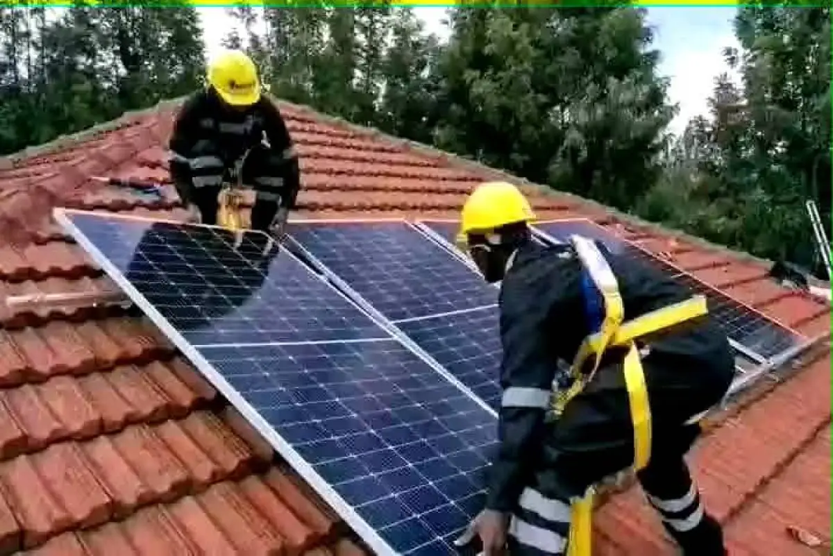 Brand New sunking solar freezer two doors Available - Image 3