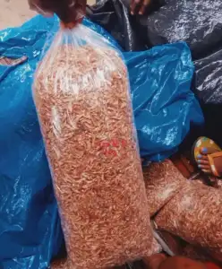 Clean Oron crayfish for sale