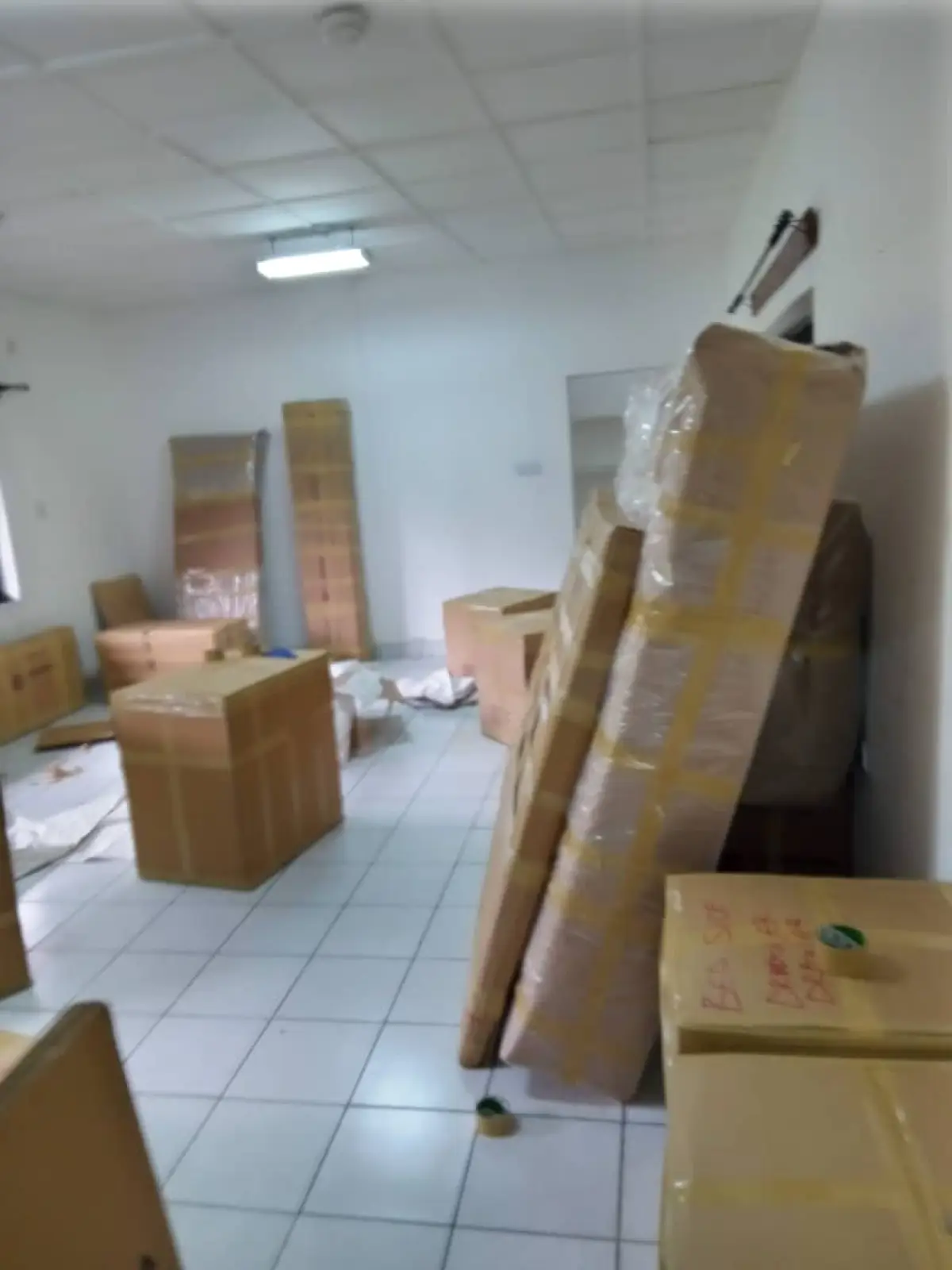 Professional office moving services - Image 3