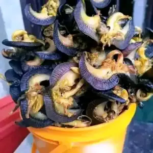 Clean and sweet dry snail