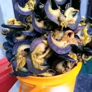 Clean and sweet dry snail