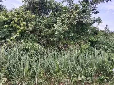 FARM LAND AVAILABLE FOR SALE - OVER 800, 000 ACRES