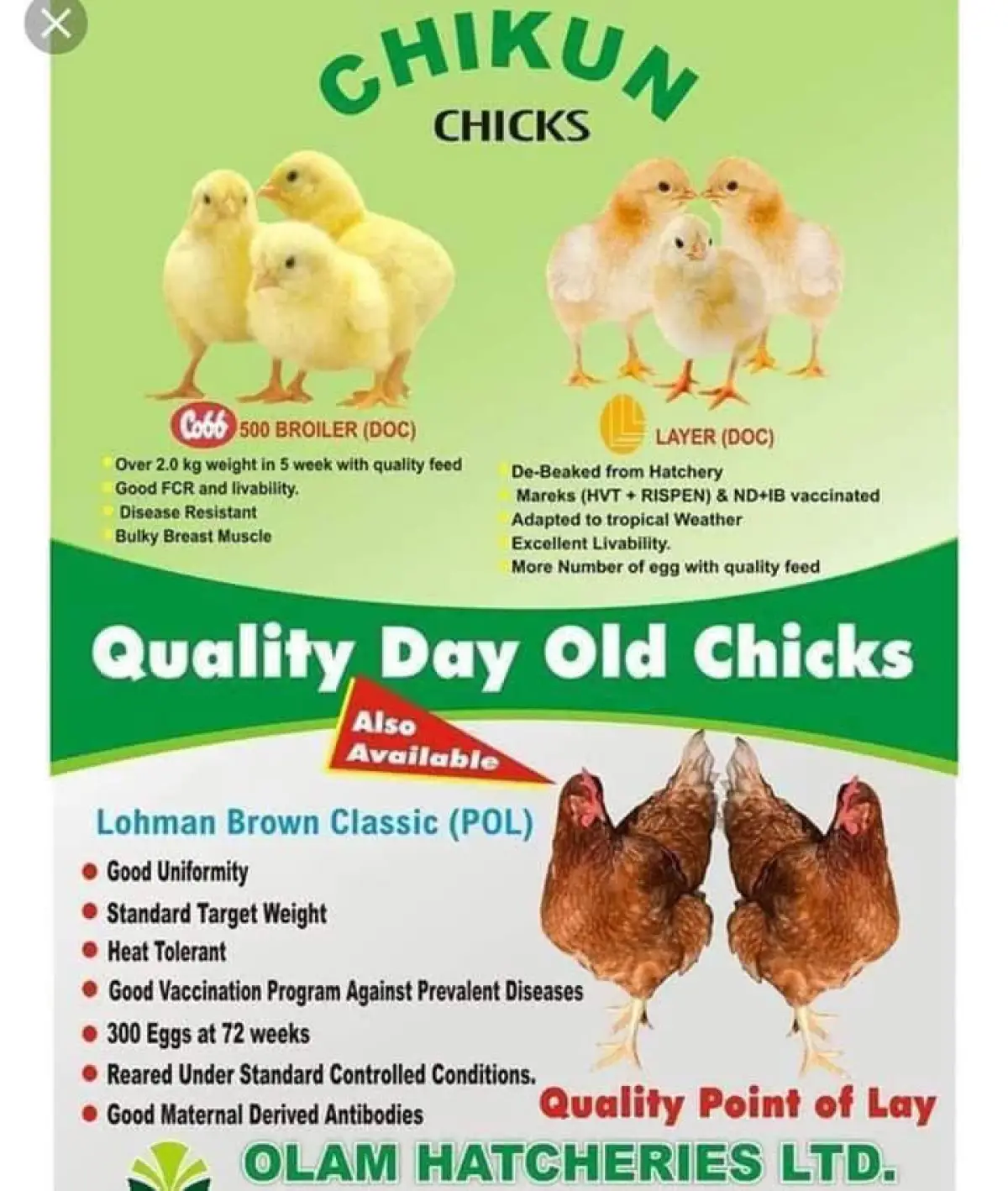 OLAM NIGERIA LTD - Image 1