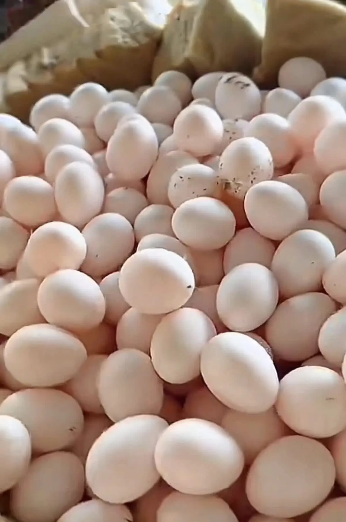 Fresh eggs - Image 3