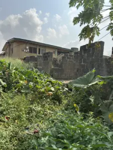 Land in good condition