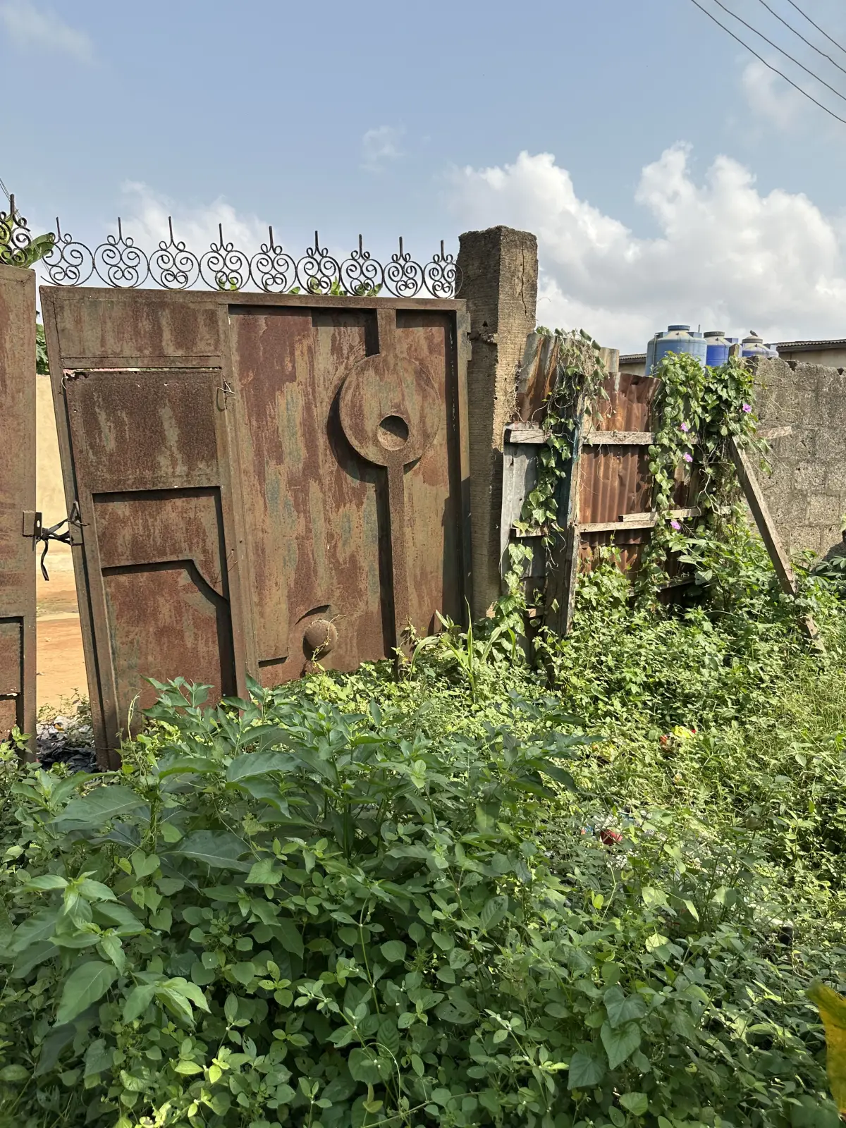 Land in good condition - Image 3