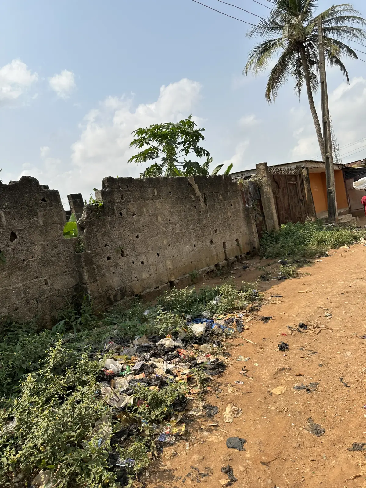 Land in good condition - Image 6